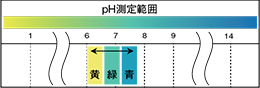 BTB溶液